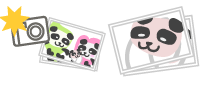 お写真について
