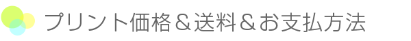 プリント価格&送料&お支払方法