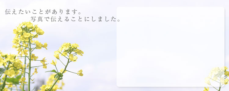 デジカメプリントはこちら。しあわせプリント・フォトピース！