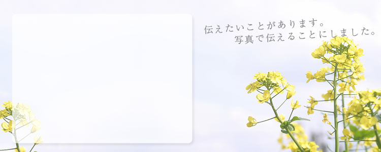 写真館フォトピース！