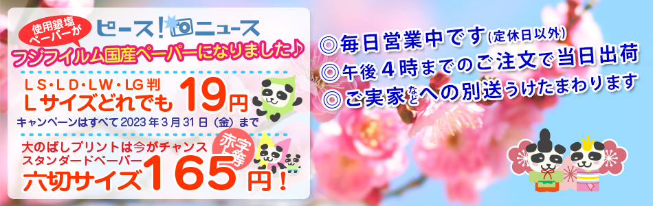 写真館フォトピース！今月のキャンペーン