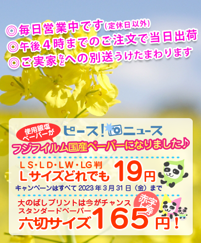 写真館フォトピース！今月のキャンペーン