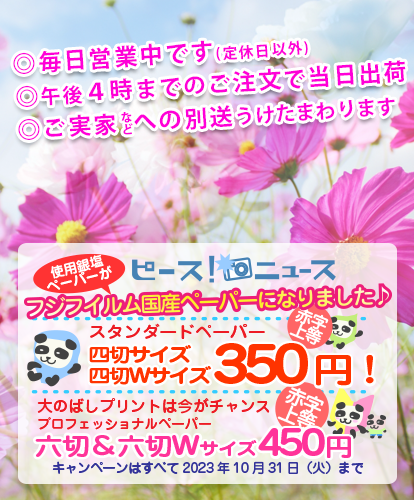写真館フォトピース！今月のキャンペーン