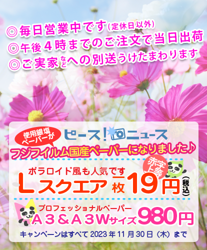 写真館フォトピース！今月のキャンペーン